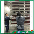 China Tomate Freezer Secador Liofilizador